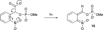Putative photodecarboxylation of 7 to generate an aci-nitro intermediate.