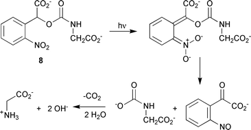Usual photolysis reaction for 8, showing formation and subsequent decarboxylation of the intermediate N-carboxyglycine salt.
