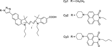 Molecular structures of Cy1, Cy2 and Cy3.