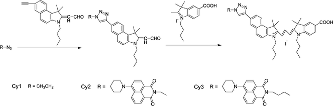 Synthetic route to cyanine dyes Cy1, Cy2 and Cy3.