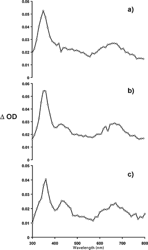 Triplet–triplet absorption spectrum of a) 1,2-dihydro-, b) 1,2,3,4-tetrahydro-, c) 1,2,3,4,5,6-hexahydro-isobenzofuran C60 derivatives (1, 2, and 3 respectively) recorded in toluene (λexc = 355 nm).