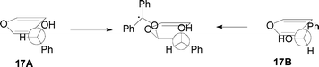 The biradical intermediate obtained from the calculated conformations of 17.