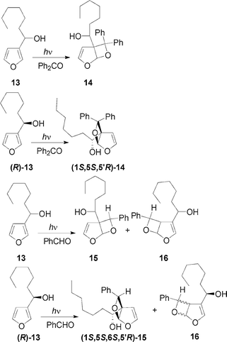 Paternò–Büchi reactions on 1-(3-furyl)-n-heptanol.