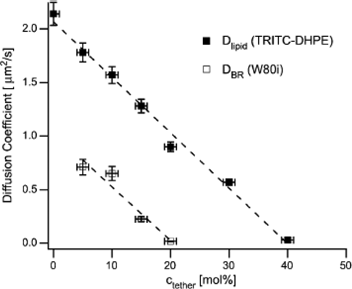 Lateral diffusivity of a labelled lipid or of the transmembrane protein Bacteriorhodopsin, as a function of the molar fraction of polymer-attached lipid anchors in a polymer supported bilayer. Zero-diffusivity matches with the percolation threshold of obstacles and hard core interactions with the probes, assuming that the anchors are immobile. Reprinted with permission from ref. 89, copyright 2005, Biophysical Society.
