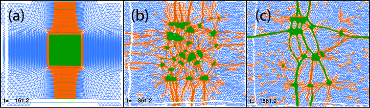 Reverse simulation experiment (T = 0.30, 100 × 100 hexagonal grid). Initial configuration (a), snapshots at times t = 361 (b) and t = 1561 (c). White “spacings” arise, as for foregoing figures, because we do not plot springs which initially wrapped around the torus, in order to visualize the motion of two arbitrarily selected straight lines.