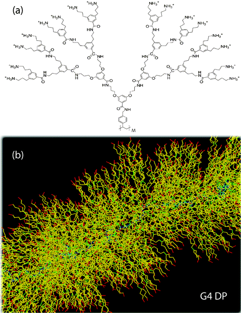 (a) Topology of a G4 vinyl-type DP. Explicitly shown is a single repeat unit (dendron) which is attached to the polymeric backbone of the DP (with M repeat units). (b) Sample snapshot of a stretched part of a G4 DP during atomistic simulation. Color coding: backbone (blue), segments attached to branching points (green), attached to atoms carrying charges (red), otherwise (yellow). Upper image reprinted with permission from Ref. 49.
