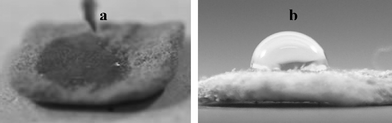 Photographs showing the behavior of a water droplet at the surface of (a) cellulose-g-PDMAEMA and (b) cellulose-g-PDMAEMA-b-PS.