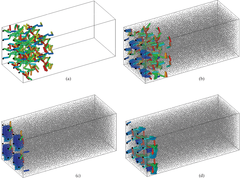 Anisotropic brush with d = 0.02 in liquid. Instantaneous configurations of the brush in a state of equilibrium. Notation as for Fig. 10. 2 × 2 periodic box replicas are shown, at the following values of free-particle density ηs: (a) 0; (b) 0.42; (c) 0.43; and (d) 0.51. Figure produced with visualization software QMGA.36