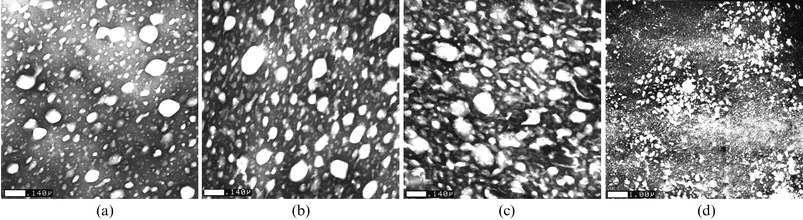 
            Evolution of the multiscale structure of elastomer/
            LCP
             composites with the extent of grafting. The figures show transmission electron micrographs on specimens of increasing LCP content: fLCP = 0.185 (a); 0.250 (b); 0.380 (c) and 0.490 (d). Pictures a to c have the same length scale (scale bar 0.140 μm at the bottom left corner) and display individual microphase separated LCP domains dispersed in a homogeneous elastomeric matrix. When the amount grafted exceeds a critical value, the domains start connecting and a fractal-like, interpenetrated network appears on a larger scale (1.00 μm) in d.