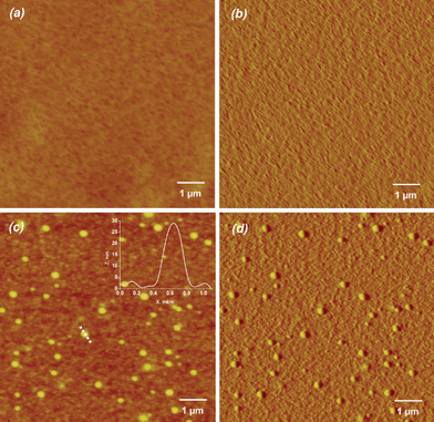 
            AFM images of (PLL/HA)12 film (a - height and b - deflection images) and liposome-containing film (PLL/HA)12/Lip-PLL/HA/PLL/HA (c - height and d - deflection images). The films were imaged in the dry state and in the contact mode. The inset in (c) corresponds to the height profile of the vesicle along the dotted line (X-axis in μm, Z-axis in nm).