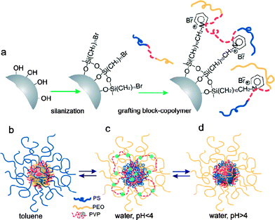 Schematic showing (A) the fabrication of mixed copolymer brushes on the surface of silica nanoparticles, (B) different morphologies of the coating as a function of the solvent type: collapsed P2VP, and stretched PS chains in toluene (a good solvent for PS, and a poor solvent for P2VP), (C) collapsed PS and stretched P2VP, PEO in water at pH < 4 (a good solvent for P2VP and PEO, and a poor solvent for PS), and d) collapsed P2VP, PS and stretched PEO chains in water at pH > 4 (a good solvent for PEO, a poor solvent for P2VP and PS). Reprinted with permission from ref. 110. Copyright 2007 Wiley-VCH.