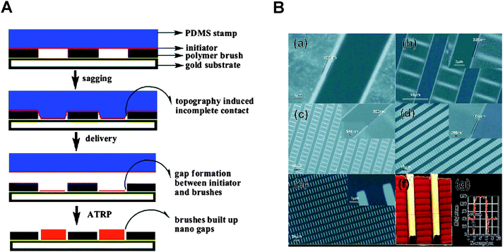 (A) Schematic of nanogap formation due to incomplete stamp contact during micro contact printing. (B) SEM images showing binary polymers and nanogaps. Adapted with permission from ref. 62. Copyright 2006 American Chemical Society.