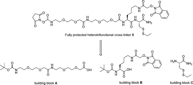 A Novel Heterotrifunctional Peptide Based Cross Linking Reagent For Facile Access To Bioconjugates Applications To Peptide Fluorescent Labelling And Immobilisation Organic Biomolecular Chemistry Rsc Publishing