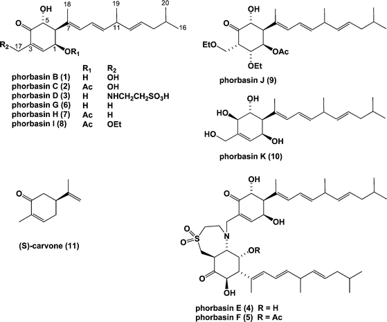 Phorbasins G K New Cytotoxic Diterpenes From A Southern Australian Marine Sponge Phorbas Sp Organic Biomolecular Chemistry Rsc Publishing