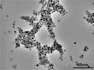 
            TEM image of gold nanoparticles used for preparing nanocomposites. The mean diameter of the nanoparticles was approximately 4.28 ± 0.98 nm.