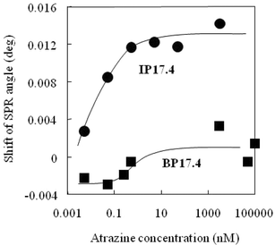 Calibration curves for the non-imprinted blank polymer nanocomposite (BP17.4) and the imprinted polymer nanocomposite (IP17.4). The carrier was acetonitrile at a flow rate of 15 μL min−1, and the sample size was 20 μL. Measurements were conducted at 24 °C.