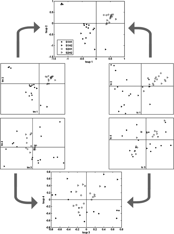 
            C-PCA. The scatter plot of super-scores tsup (middle) are derived from the scores tm of block XM (on the left) and the scores tc of the block XC (on the right). Symbols for the four groups SnHn where n = 1 or 2 are defined in the top graph.