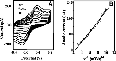 (A) Cyclic voltammograms of GECE-Tyr electrode in 0.2 mM catechol solution (at 10, 20, 30, 40, 50, 60, 70, 80, 90, 100 mV/s, scanning potential range: −0.5 to 0.8 V); (B) plots of anodic peak currents versus the square root of scan rate.