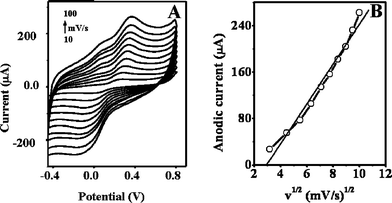 (A) Cyclic voltammograms of CNTEC-Tyr electrode in 0.2 mM catechol solution (at 10, 20, 30, 40, 50, 60, 70, 80, 90, 100 mV/s, scanning potential range: −0.5 to 0.8 V); (B) plots of anodic peak currents versus the square root of scan rate.