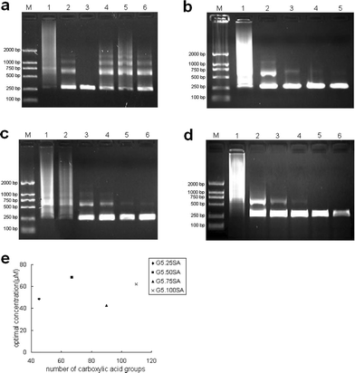The effect of G5.SA on the specificity of PCR. Lane M in every image is for marker. (a) G5.25SA was added into PCR mixture, and for lane 1 to lane 6 its final concentration was 34.03, 43.76, 48.62, 51.05, 53.48, 58.34 µM, respectively. (b) G5.50SA was added into PCR mixture, and for lane 1 to lane 5 its final concentration was 0, 6.21, 37.28, 55.92, 68.35 µM, respectively. (c) G5.75SA was added into PCR mixture, and for lane 1 to lane 5 its final concentration was 0, 5.37, 11.26, 22.52, 40.58, 42.60 µM, respectively. (d) G5.100SA was added into PCR mixture, and for lane 1 to lane 6 its final concentration was 0, 5.16, 36.12, 46.44, 63.08, 97.52 µM, respectively. Lane 7 in (d) was negative control. (e) Optimum concentrations determined by densitometric analysis of the data in (a) ∼ (d), as a function of the number of carboxyl terminal groups of carboxylated G5 dendrimer.