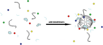 Schematic illustration of the interaction between PCR mixture and dendrimer. Red, yellow, green, blue dots: 4 kinds of dNTP; light blue pieces: polymerase; short, single line: primers; long, double line: template.