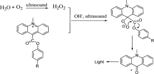 Possible SCL mechanism for acridinium ester.