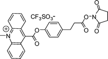 Molecular structure of acridinium NHS ester.