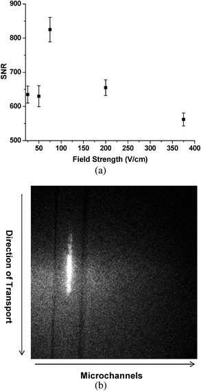 (a) Plot of the signal-to-noise ratio (SNR) at different field strengths used to transport single molecules through the irradiation zone of the imaging system. The SNR values were obtained from an average of 10 different measurements. (b) Fluorescence image from the CCD for a single molecule tracked along several pixels of the CCD, which was accumulated from two image frames that were acquired using 100 ms exposure time per frame with the fluorescence collected using a 40× objective (NA = 0.75).
