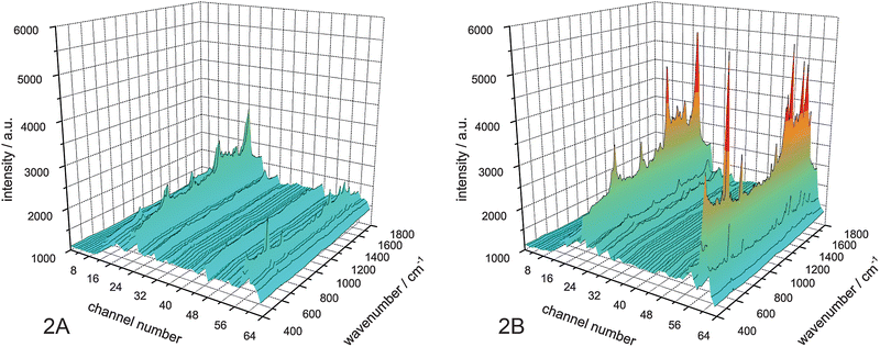 
          Raman spectra at the outlet channels. A: no voltage; B: voltage (210 V) applied.