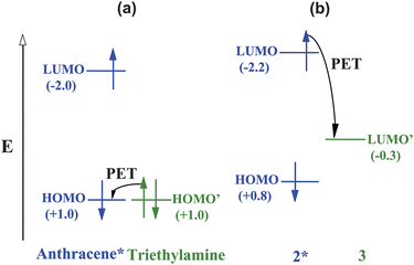 The relative energetic dispositions of the frontier orbitals of the fluorophore and the receptor in the analyte-free situation for PET sensor systems (a) 1 and (b) 2·3. Redox potentials (V vs. sce) are given in parentheses as a measure of molecular orbital energies. The energies are not to scale.