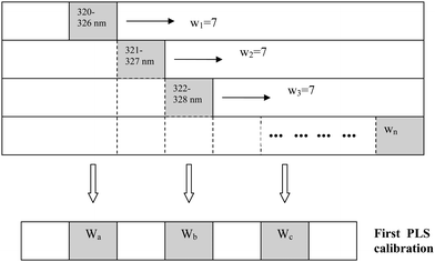 Scheme for explanation of MWPLSR.