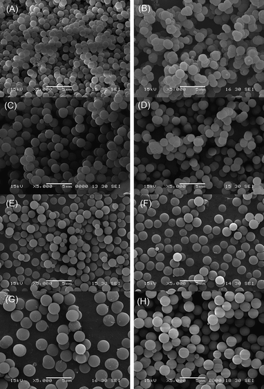 
            SEM images of (A) sample S1 (synthesized in the presence of only DDA); (B) sample S2 (synthesized in the presence of only CTAB); (C) sample S3 (synthesized in the presence of both DDA and CTAB); (D) sample S4 (synthesized in the ethanol–water volume ratio of 60:40); (E) sample S5 (synthesized in the ethanol–water volume ratio of 70:30); (F) sample S6 (synthesized in the 1,3-BTEB/TEOS molar ratio of 12:100); (G) sample S7 (synthesized in the 1,3-BTEB/TEOS molar ratio of 56:56); (H) sample S8 (synthesized in the 1,4-BTEB/TEOS molar ratio of 20:92).