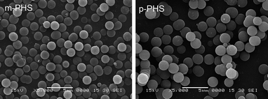 
            SEM images of phenylene-bridged hybrid silica spheres after hydrothermal treatment.