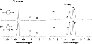 
            
              13C CP MAS and 29Si MAS NMR spectra of (a) p-PHS and (b) m-PHS.