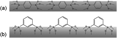 Proposed different orientations of phenylene groups in the pore wall of PHS materials. (a) p-PHS; (b) m-PHS.