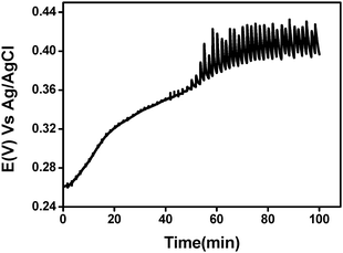 Potentiometric titration curve of casein free-milk sample using I−/I2 (ratio 10 : 1) 1nM (final concentration).