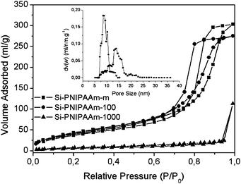 Nitrogen sorption isotherm of thermo-responsive columns with different stationary phases.