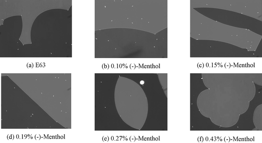 Twist domains for mixtures of E63 and (−)-menthol at differing concentrations viewed by polarised optical microscopy (×100) using a wave plate to highlight the domains of opposite twist.