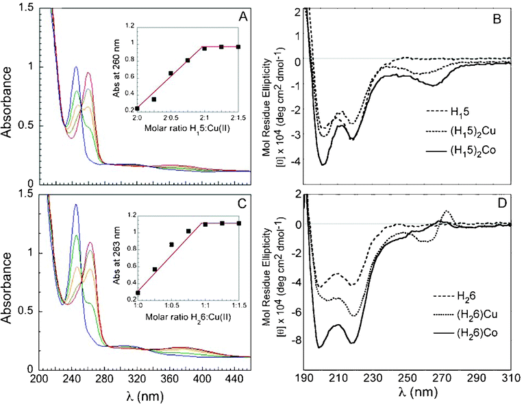 (A) UV-Vis spectra and Job plot for titration of H115 with Cu2+. (B) CD spectra for (H115), (H115)2Cu, and (H115)2Co. (C) UV-Vis spectra and Job plot for titration of H226 with Cu2+. (D) CD spectra for (H226), (H226)Cu, and (H226)Co. UV-Vis spectra: (A) 17 μM peptoid in MeOH:H2O (4:1) solution, (C) 40 μM peptoid in MeOH:H2O (4:1) solution. The peptoid solutions were titrated with 2 μL aliquots of a metal ion (5 mM in H2O), in multiple steps (blue = free ligand, red = metal complex); CD spectra: 100 μM MeOH:H2O (4:1) solutions.