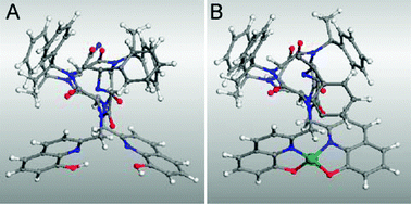 Energy-minimized structures of (A) metal-free H226 and (B) (H226)Cu.20,21Hydrogen atoms within the helix are omitted for clarity.