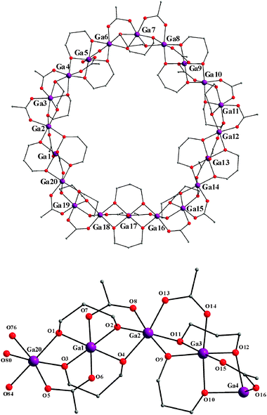 The structure of the Ga20 wheel 2: (top) the complete molecule with Ga atom labels; (bottom) the repeating {Ga4(O2CMe)4(pd)4} unit (Ga20–Ga1–Ga2–Ga3) and the means of attachment to Ga4 of an adjacent unit. Hydrogen atoms have been omitted for clarity. Colour code: Ga purple, O red, C grey.