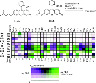 Fingerprint analysis of cosolvent selectivity of lipases and esterases.