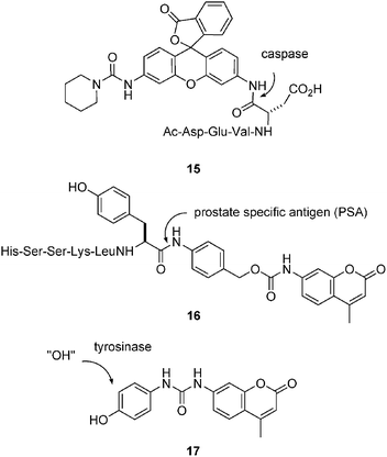 Enzyme assays with direct and indirect release of a fluorescent aniline.