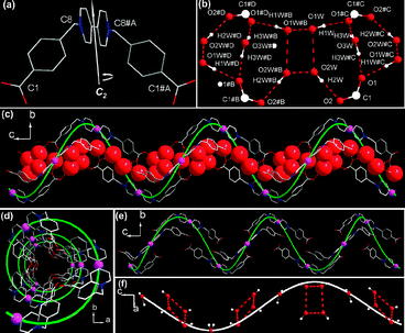 Crystal structure of Bpybc·5H2O for (a) twisted Bpybc with C2 symmetry; (b) hydrogen bonds between carboxylate groups of Bpybc and water molecules (including water tetramer and single water molecule O3W); (c) view of the left-handed hydrated helix running along the crystallographic c axis, water oxygen atoms are shown in space-filling mode; (d) view down the c axis showing a central projection of the helical alignment of Bpybc with all the carboxylate groups pointing towards the inner wall of the channel; (e) view of the helical alignment of Bpybc molecules running along the c axis; (f) the helical arrangement of water O3W and water tetramers running along the c axis. Hydrogen bonds are shown as dotted lines. An imaginary 32 helix (colored green) runs through the pink dummy atoms which are inserted between C13 and C13#A.