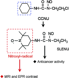 
          Lomustine (CCNU) and its nitroxyl labelled analogue (SLENU).