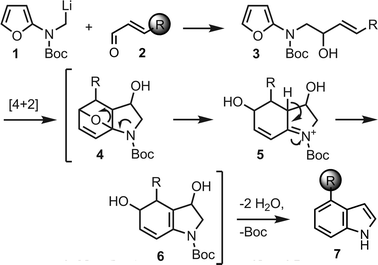 Proposed indole synthesis.
