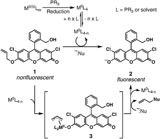 
          Catalytic mechanism of Pd and Pt detection by fluorescence.