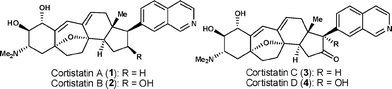 The structures of cortistatins A–D.