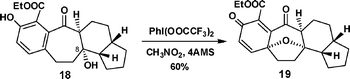 The synthesis of oxabicyclo[3.2.1]heptane 19.