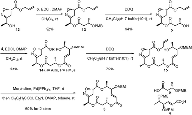 Preparation of common isoxazoline intermediate.